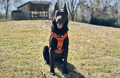 DUKE